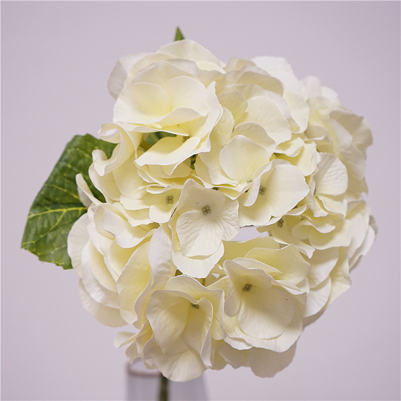 Alternative view of High-End Hydrangea Flower - Cream
