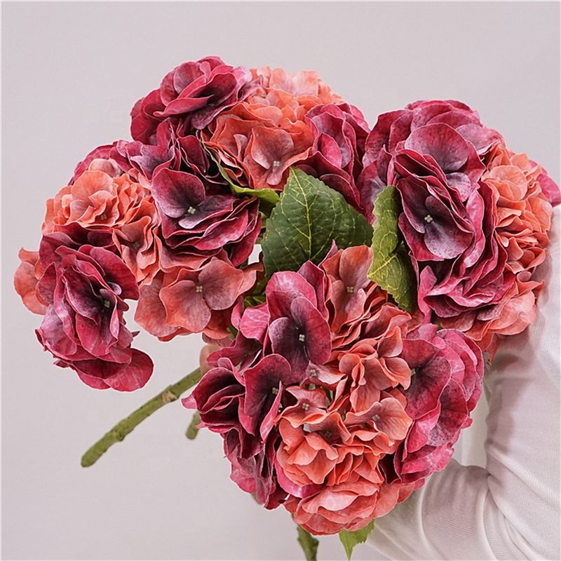Flora